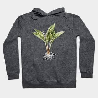 Vintage Lily of the Valley Botanical Illustration Hoodie